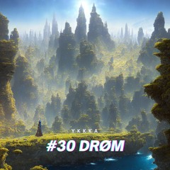 #30 drøm