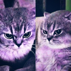 Za miły feat.spazma