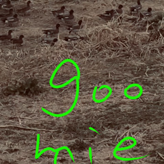 blast"fun"by goomie