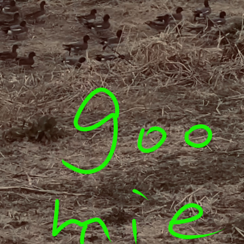 blast"fun"by goomie