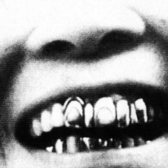In Focus: Sd Laika 160824