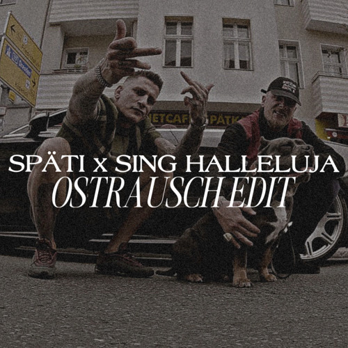 Späti x Sing Halleluja (Ostrausch Edit)