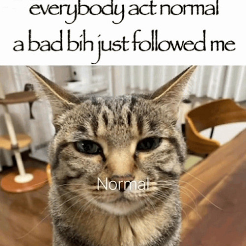 Dual Damage - Get Wrecked 2024 Tool (Bert's Awesome Kick Edit)