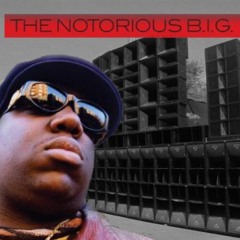 Notorious The Kick