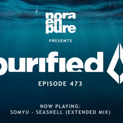 Seashell (rip From Purified Radio 473 By Nora En Pure)
