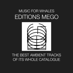 Music For Whales - Editions Mego, its best ambient tracks