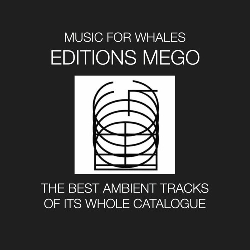 Music For Whales - Editions Mego, its best ambient tracks