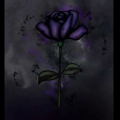 SAINt JHN- Roses (Said The Sky) (Guitar Remix)