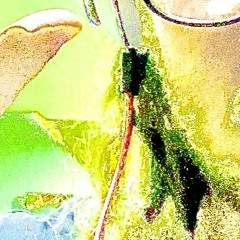 The Adventurous Adventures of Rocky Raccoon versus Benny Beaver (demo from 2019)