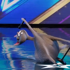 Feeling Good - Tom Ball - Noodle [BGT]