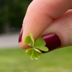 Always Editing  Round 3