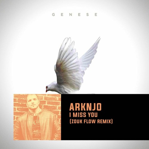I Miss You (ARKNJO Zouk Flow Remix)