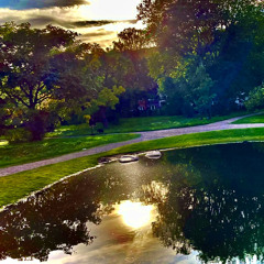 In The Park