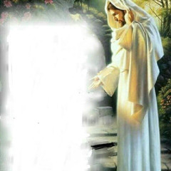 Maturation Pack {}{} December Solos