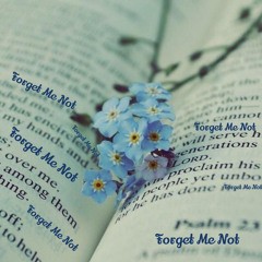 Forget Me Not