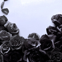 Matt Darey&Urban Astronauts - Black Flowers(Progressive House Remix)