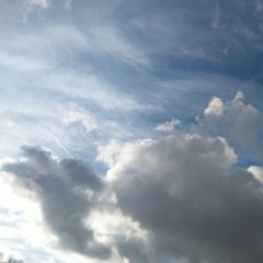 Everybody loves her_numb3r4