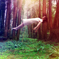 Wild World