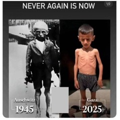 From Auschwitz to Gaza