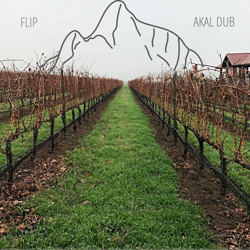 Akal Dub - Flip