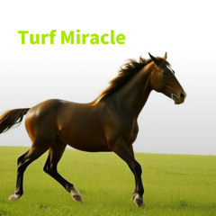 ターフのキセキ