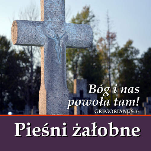 Stream Niech Aniołowie Zawiodą Cię do Raju by Schola Liturgiczna