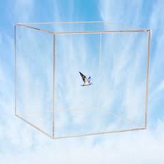 Mi Schianto Nell'aria