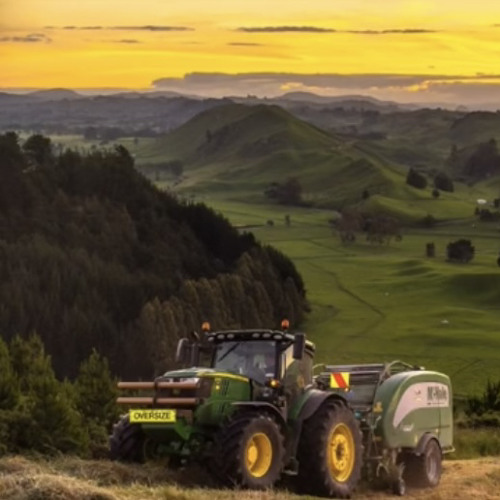 Seek bromance on the beach🌱🎵