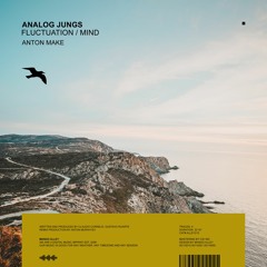 ANALOG JUNGS Fluctuation (Anton MAKe Remix)