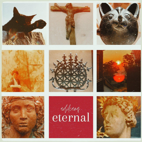 we are the cosmos
