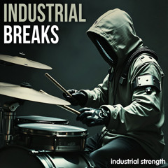 Industrial Breaks