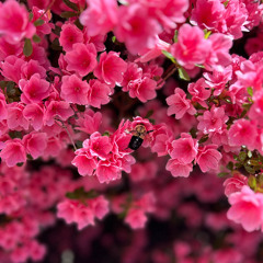 If We Still Have Our Troubles