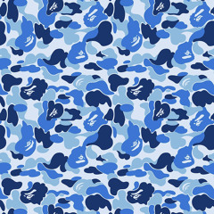 BAPE CAMO