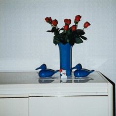 Darkest Shade Of Purple