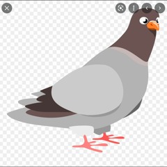 Clay Pigeons- michael cera probably