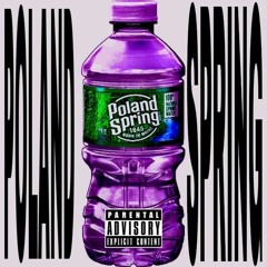 Gereb - Poland Spring *DJSWUICE EXCLUSIVE*