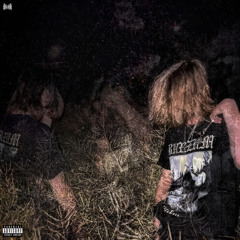 MOTH SKIN [LVST] (VISUALIZER OUT NOW)