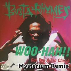 Busta Rhymes - Woo Hah (Got You All In Check) Mysterium Bootleg