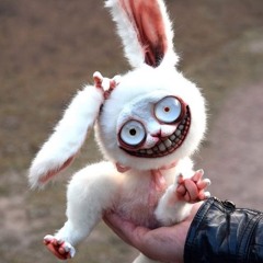 Suivez Le Lapin Blanc