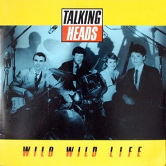 Wild Wild Life (Talking Heads) - Cover