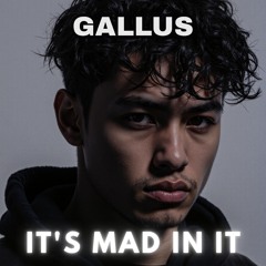 IT'S MAD IN IT