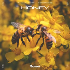 Gianluca Dimeo & Coppermines - Honey