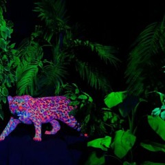 King Of The Jungle RAW WIP