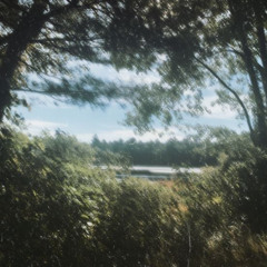 Summer break