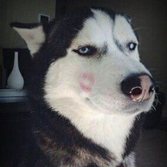 better off alone + kiss me again + unlock it