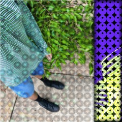 shapeshifter