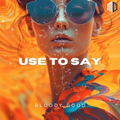 Bloody Good - Use To Say (Original Mix)