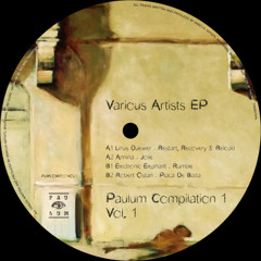 Premiere : Robert Ostan - Placa De Baza (PLMCOMP001)