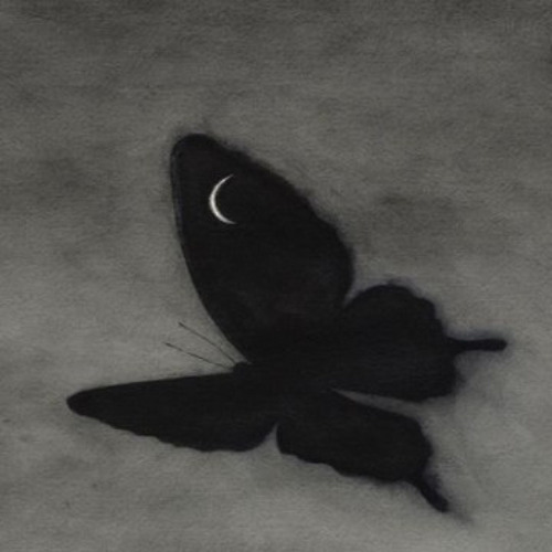 MOTH - (Prod. Wolet)