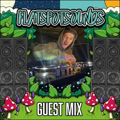 Guest Mix #013 Mr. Knox [Multigenre]